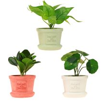 Article Plantes vertes artificielles mini plantes en pot 15cm 3pcs