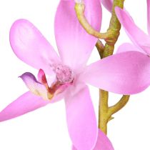 Article Orchidées artificielles 8 fleurs violettes Ø3,5cm–5cm 2pcs