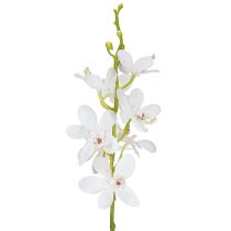 Article Orchidées artificielles fleur blanche Ø3,5–5 cm L38 cm 2 pièces