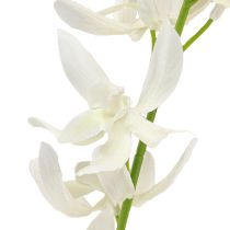 Article Branche d&#39;orchidée artificielle Fleurs blanches crème L90cm 2pcs