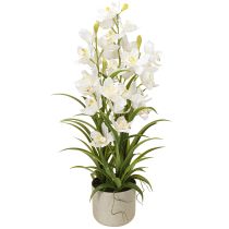 Article Orchidées artificielles en pot avec fleurs blanches H80cm
