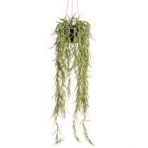 Article Plante succulente artificielle suspendue en pot noir 60 cm - Décoration d&#39;intérieur durable