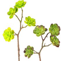 Article Plantes succulentes artificielles avec tige vert violet assorties 32 cm 2 pièces