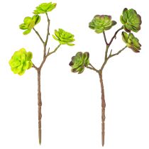Article Plantes succulentes artificielles avec tige vert violet assorties 32 cm 2 pièces