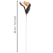 Article Œufs de caille artificiels, plumes décoratives sur bâtonnet, 36 cm, lot de 12