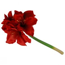 Article Amaryllis Artificielle Fleurs de Noël Fleurs Artificielles Rouges L40cm