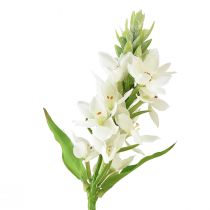Article Fleur artificielle étoile de lait blanche 50cm