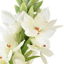 Article Fleur artificielle étoile de lait blanche 50cm