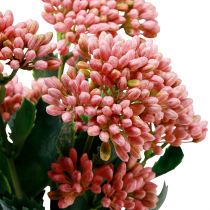 Article Poule grasse artificielle Sedum Stonecrop floraison rose 47cm 3pcs