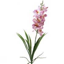 Article Orchidée Artificielle Orchidée Fleur Artificielle Rose Blanc 73cm