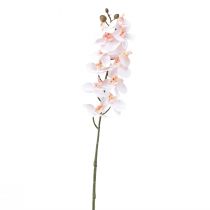 Orchidée artificielle Phalaenopsis rose Real Touch 58cm