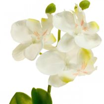 Orchidées artificielles Fleur artificielle orchidée blanche 20cm