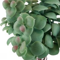 Plantes artificielles d&#39;eucalyptus artificielles à coller 18cm 4pcs