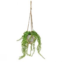 Article Plantes artificielles en pot, panier suspendu succulent 46cm