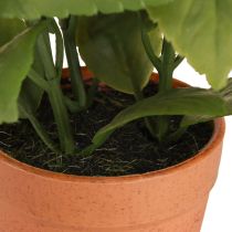 Article Basilic artificiel en pot Pot d&#39;herbes aromatiques Plante artificielle 22 cm 2 pièces