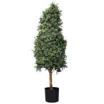 Article Buis artificiel en pot Buis artificiel H120cm