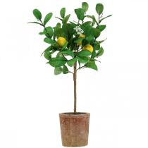 Article Citronnier artificiel en pot Citronnier 58cm