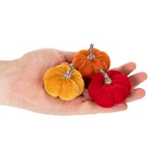 Article Ensemble décoratif de citrouilles en velours tricolore, mini-citrouilles de 5 cm, 12 pièces