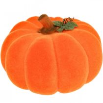 Citrouille déco orange large Décoration automne floquée Ø30cm