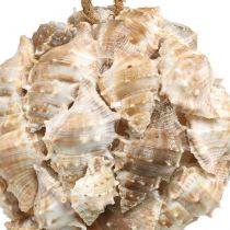 Boule déco coquilles d&#39;escargots coquillages déco à suspendre nature Ø12cm