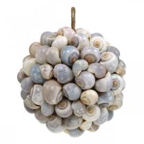 Article Boule décorative coquillage escargots de mer boule décoration naturelle maritime Ø19cm