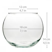 Vase boule vase en verre clair vase de table rond vase à fleurs Ø18cm H14cm