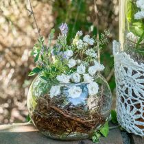 Article Vase boule vase fleur en verre décoration verre rond H10cm Ø11cm