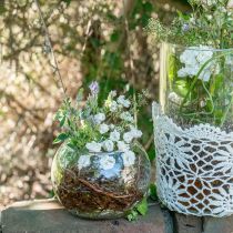 Article Vase boule vase à fleurs en verre décoration ronde en verre H11cm Ø15cm