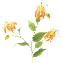 Article Fleurs artificielles Gloriosa orange à longues tiges pour vases, 80 cm, lot de 3
