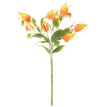 Article Fleurs artificielles Gloriosa orange à longues tiges pour vases, 80 cm, lot de 3