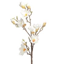 Article Branche de Magnolia Artificielle Fleurs Ø2–10cm Crème L105cm