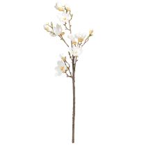 Article Branche de Magnolia Artificielle Fleurs Ø2–10cm Crème L105cm