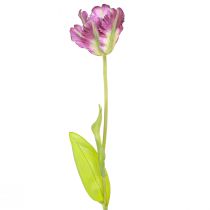 Article Fleur artificielle perroquet tulipe artificielle décorative tulipe violet 63cm