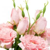 Fleurs artificielles Lisianthus rose fleurs artificielles en soie 50cm 5pcs