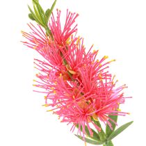 Article Fleurs Artificielles Nettoyants Cylindre Carmin Rouge 70cm 3pcs