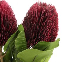 Fleurs artificielles, Banksia, Proteaceae Rouge vin L58cm H6cm