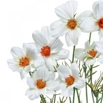 Article Fleurs artificielles Cosmea fleurs en soie blanche H51cm 3 pcs