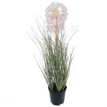 Article Fleurs artificielles boule décorative fleur allium oignon ornemental artificiel 54cm
