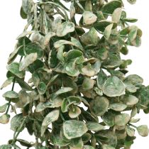 Plante artificielle, vrilles artificielles, guirlande de buis Vert Blanc lavé L148cm