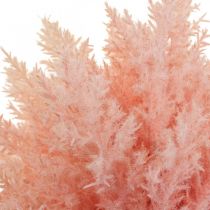 Article Branches artificielles Astilbe déco roses artificielles H38cm 5pcs