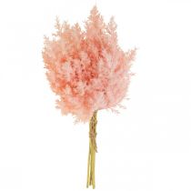 Article Plante Artificielle Astilbe Décoration Branches Artificielles Rose H38cm 5 Pcs