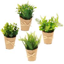 Article Plantes Artificielles Fougère Artificielle Buis 15-19cm 4pcs
