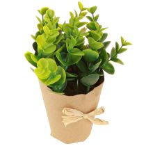 Article Plantes Artificielles Fougère Artificielle Buis 15-19cm 4pcs