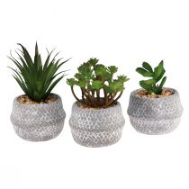 Article Plantes Artificielles Plantes Succulentes Plante Verte Artificielle 11-14cm 3pcs