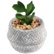 Article Plantes Artificielles Plantes Succulentes Plante Verte Artificielle 11-14cm 3pcs