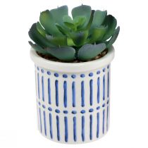 Article Plantes artificielles succulentes plante verte artificielle 9-12.5cm 4pcs