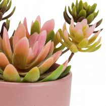 Plantes artificielles en pots succulentes artificielles H13cm 3pcs