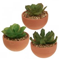 Article Plantes artificielles en pots succulentes artificielles H9cm 3pcs