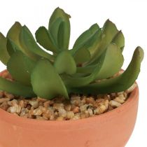 Plantes artificielles en pots succulentes artificielles H9cm 3pcs