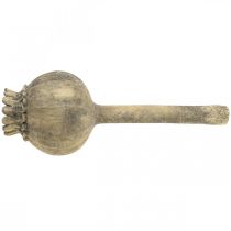 Article Décoration pierre artificielle coquelicot décoration antique marron Ø13cm L37.5cm